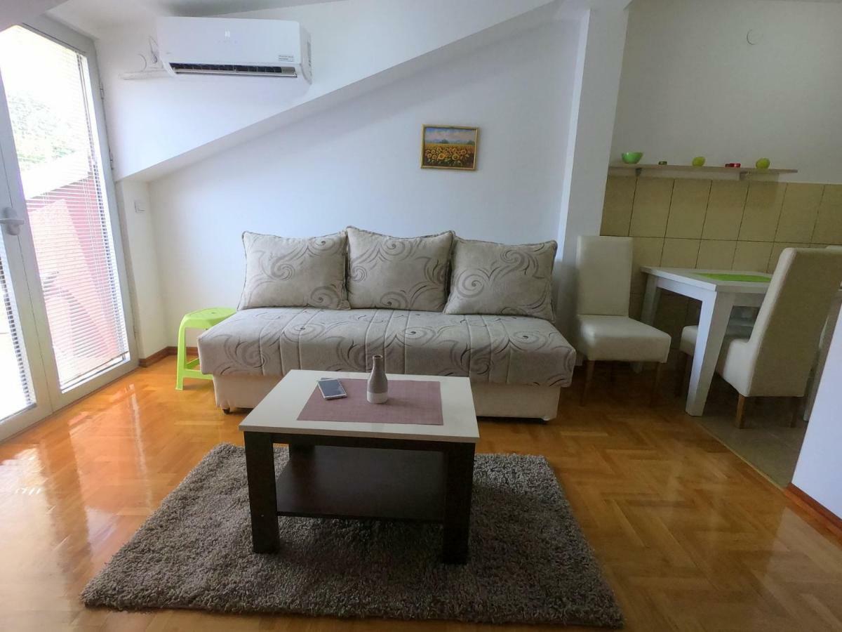 Apartman Zenit Vrnjačka Banja Exterior foto